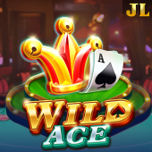 Big Win Login Wild Ace